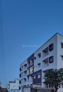 Project Images