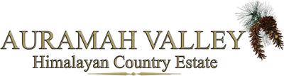 Project Image of 1500.0 - 4500.0 Sq.ft 2 BHK Apartment for buy in Auramah Valley