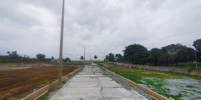 MS SLV Residency Plot 2