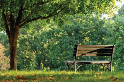 Project Image of 1062.61 - 4203.09 Sq.ft Residential Plot Plot for buy in Ahad Hills
