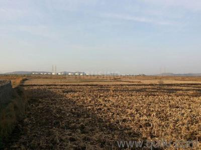 Project Image of 1000.0 - 3000.0 Sq.ft Residential Plot Plot for buy in Green Empire Land