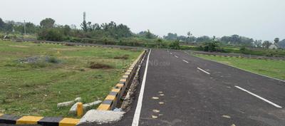 Project Images