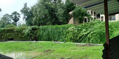 Project Image of 308.17 - 615.8 Sq.ft 1 BHK Apartment for buy in Craftstone River Valley