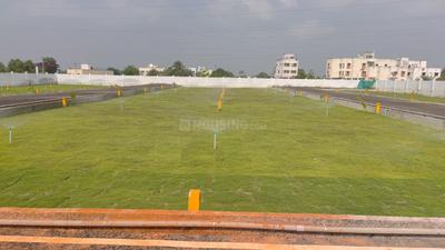 Project Image of 750.0 - 1600.0 Sq.ft Residential Plot Plot for buy in Daisy Park