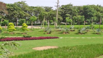 Project Image of 0.0 - 3017.0 Sq.ft Residential Plot Plot for buy in Tricone City Phase V