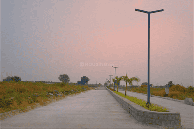 Project Image of 2250.0 - 4203.0 Sq.ft Residential Plot Plot for buy in Dukes County Phase II