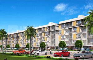 Project Image of 560.0 - 1761.0 Sq.ft 1.5 BHK Apartment for buy in S And P Essense