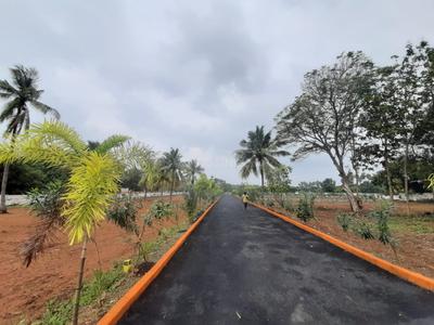 Project Image of 752.0 - 2415.0 Sq.ft Residential Plot Plot for buy in Staar RV Garden