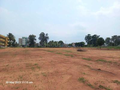 Icon Calista Elevation 1