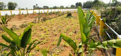 Project Image of 1350.0 - 2880.0 Sq.ft Residential Plot Plot for buy in Siyora Shakthi County Phase 1