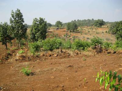 Project Image of 0.0 - 2200.0 Sq.ft Residential Plot Plot for buy in Disha Wellness City