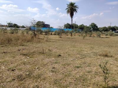 Project Image of 686.31 - 3582.23 Sq.ft Residential Plot Plot for buy in Emerald Riviera