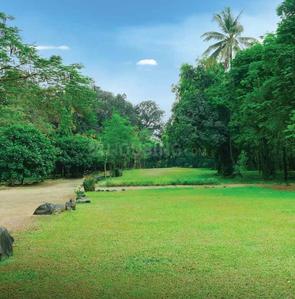 Project Image of 1138.82 - 1875.93 Sq.ft 3 BHK Apartment for buy in Purva Panorama Tower D