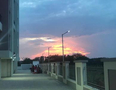 Ananth Jayanthi The Waterfront Paved Compound 1