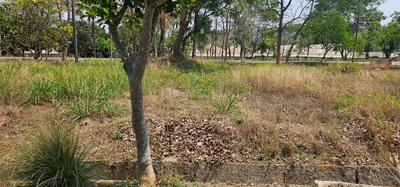 Project Image of 1879.0 - 4060.0 Sq.ft Residential Plot Plot for buy in Nanda Prakruthi 