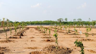 Project Image of 1089.0 - 2178.0 Sq.ft Residential Plot Plot for buy in Adrustar Mahalakshmi S Nandanam