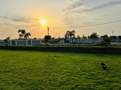 Shri Krishna Premium Corridor Landscape Garden and Tree Planting 1