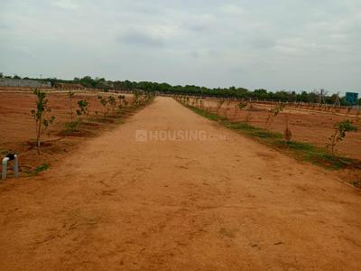 Project Image of 1800.0 - 4500.0 Sq.ft Residential Plot Plot for buy in Real Rainbow Garden