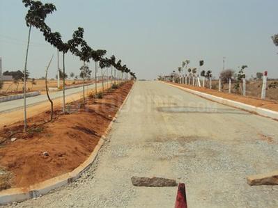 Project Image of 810.0 - 9000.0 Sq.ft Residential Plot Plot for buy in Siyora Royal Court