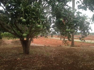 Project Image of 1108.0 - 2400.0 Sq.ft Residential Plot Plot for buy in Shriram Godhuli