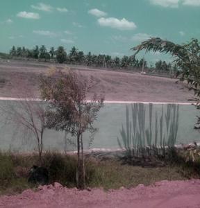 Project Image of 1500.0 - 2700.0 Sq.ft Residential Plot Plot for buy in Aditya Capital Township