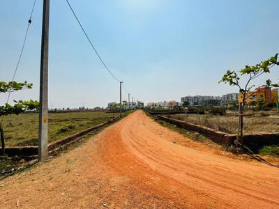 Project Image of 1200.0 - 3000.0 Sq.ft Residential Plot Plot for buy in My Nest Aditi Nagar