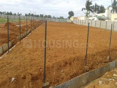 Project Image of 800.0 - 1200.0 Sq.ft Residential Plot Plot for buy in Enrich North City