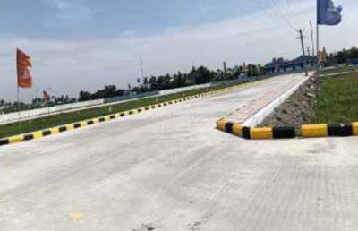 Project Images