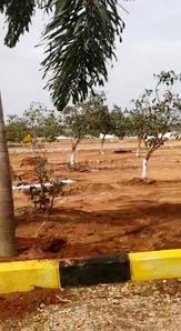 Project Image of 1485.0 - 3285.0 Sq.ft Residential Plot Plot for buy in Aspire Serene City