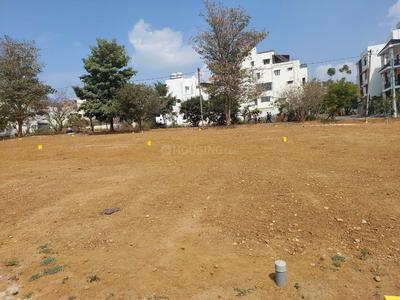Happy Valley Elevation 1