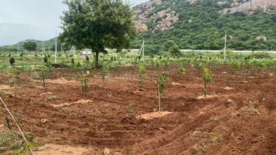 Project Image of 250 Sq.ft Residential Plot / Land for sale in Amangal for Rs. 3499000
