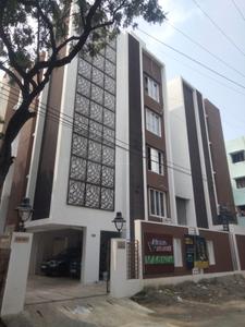 XS Real Magnus Elevation 1