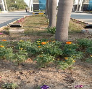 Project Image of 810.0 - 2250.0 Sq.ft Residential Plot Plot for buy in Hero Alaknanda Plots