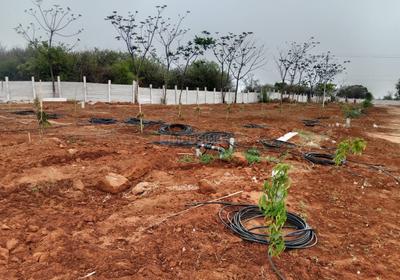 Project Image of 1350.0 - 2700.0 Sq.ft Residential Plot Plot for buy in Vision Siri Vanam