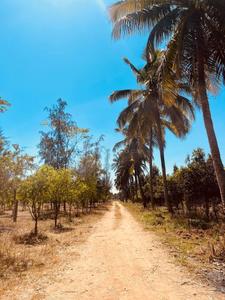 Project Image of 6000.0 - 12000.0 Sq.ft Residential Plot Plot for buy in Navile Farms 