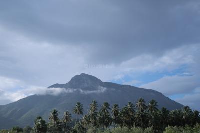 Project Image of 9147.0 - 13068.0 Sq.ft Residential Plot Plot for buy in KCP Etti Farms
