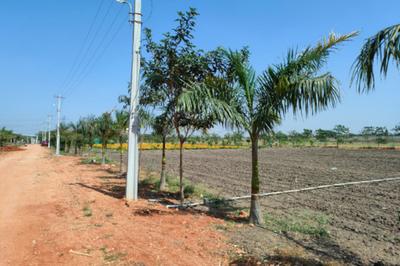 Project Image of 5445.0 - 11700.0 Sq.ft Residential Plot Plot for buy in CK Atmos Breathe