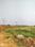 Gallery Cover Pic of Fenway Global City 1