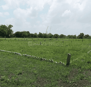 Star India Tech Towne Plot 4