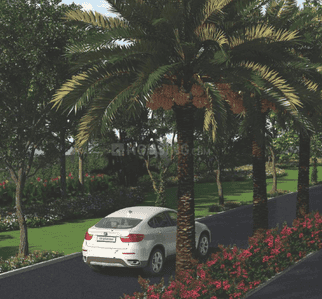 Reliaable Dollar Collony Phase 1A Landscape Garden and Tree Planting 1