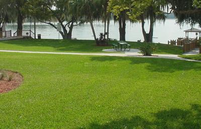 Project Image of 1980.0 - 3600.0 Sq.ft Residential Plot Plot for buy in Sri Rajeswari Dwaraka