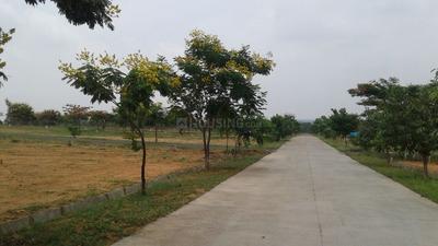 Project Image of 1200.0 - 7000.0 Sq.ft Residential Plot Plot for buy in NBR Green Valley