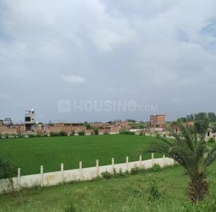 Project Image of 650.0 - 2700.0 Sq.ft Residential Plot Plot for buy in Reedocs City Part 1
