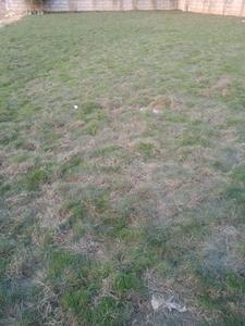 Project Image of 900.0 - 1350.0 Sq.ft Residential Plot Plot for buy in Panchsheel Park Phase 1