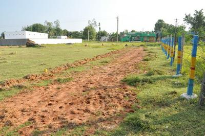 Project Image of 500.0 - 1441.0 Sq.ft Residential Plot Plot for buy in Vetri Grace Nagar Phase 2