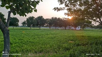 Project Image of 1250.0 - 5056.0 Sq.ft Residential Plot Plot for buy in JK Sendhur Nagar