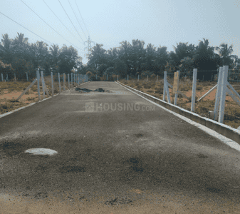Project Images