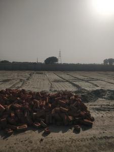 Project Image of 450.0 - 900.0 Sq.ft Residential Plot Plot for buy in OMR Shri Radha Rani Farms