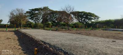 Project Image of 691.0 - 1767.0 Sq.ft Residential Plot Plot for buy in Madras Shri Madhuri Nagar