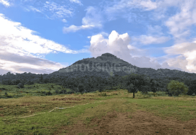 Project Image of 1399.0 - 5000.0 Sq.ft Residential Plot Plot for buy in Ascenta Basalt Hills